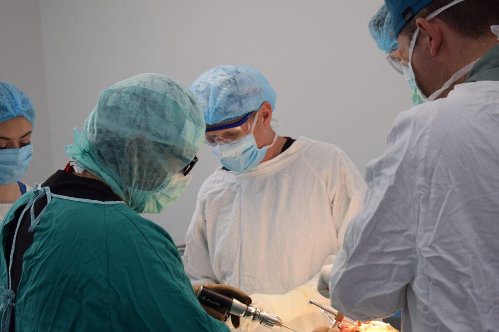 Secția de Ortopedie Protetică a Articulațiilor Mari – locul unde încrederea pacienților întâlnește excelența medicală